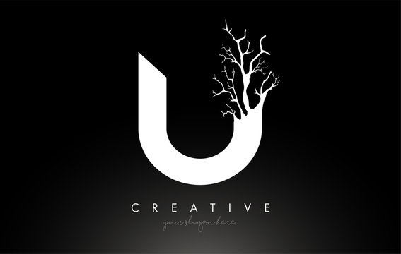 Letter U Design Logo with Creative Tree Branch. U Letter Tree Icon Logo