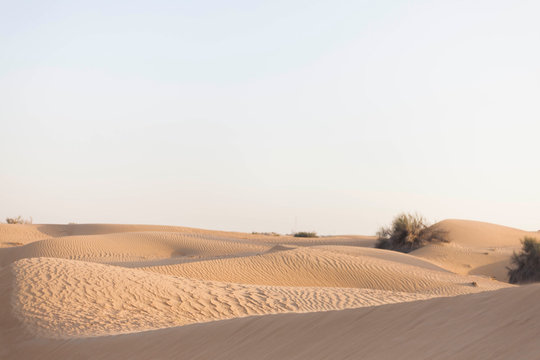 Desert sable Duabi