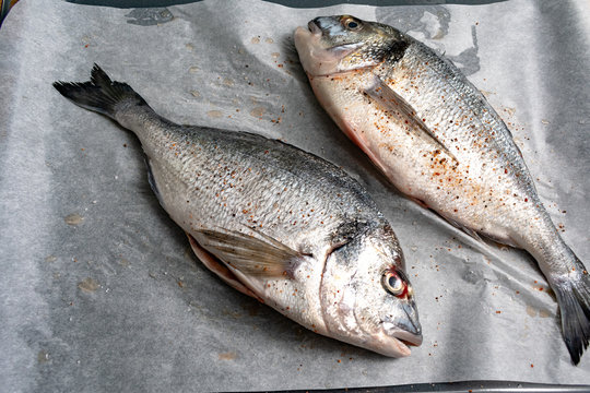 Raw dorado or sea bream fish with lemon slices. Fresh sea fish. Dorado, herbs and spices. Menu photo