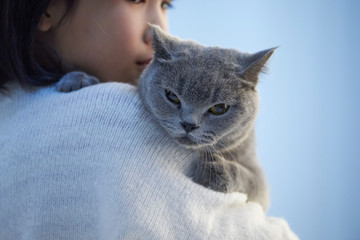 A little asian girl is holding a cute English shorthair cat