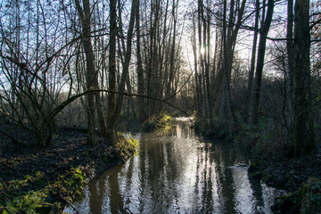 Wanderung durch das Naturschutzgebiet Bustedter Holz mit dem idyllischen See und Brandbach bei Bünde in Ostwestfalen.