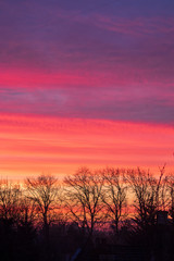 Fototapeta premium Winter Sunrise