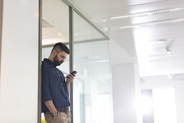 Mid adult businessman using mobile phone in office