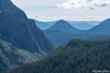 landscape in the mountains