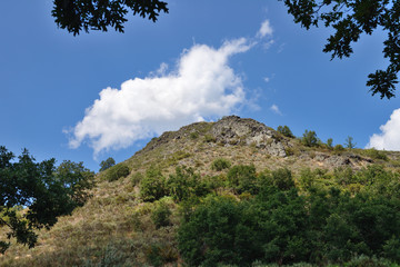 green trees on the mountain against the blue sky