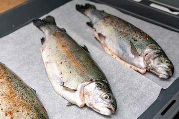 kitchen, cook, rainbow trout, wild, vegetable, mediterranean, meat, health, catch, eat, salmon,...