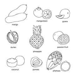 Hand drawn exotic fruits collection. Outline tropical drawing fruits. Sketch vector illustration.