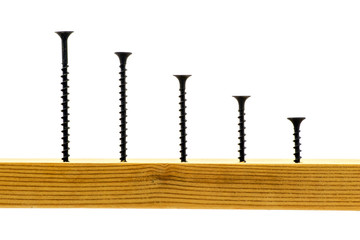 Black screws of different sizes screwed into wood on a white isolated background_