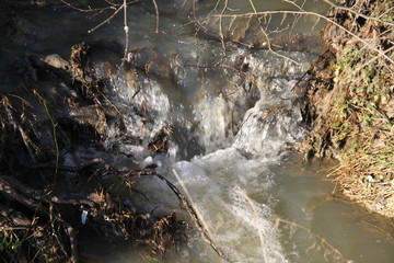Courant dans le ruisseau