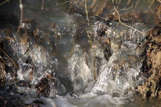 Courant dans le ruisseau