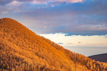 Wooded hills in the autumn in the Carpathians