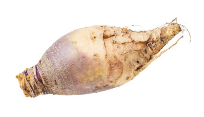 fresh rutabaga vegetable isolated on white - obrazy, fototapety, plakaty