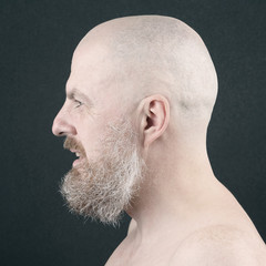 portrait of a bearded and bald man in profile