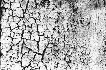 Wooden texture with scratches and cracks