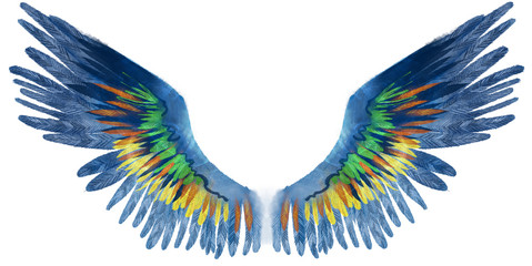 Beautiful watercolor blue wings with green, yellow and orange feathers