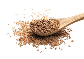 Spelt grains with wooden spoon isolated on white background