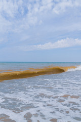 The sea shore at summer Sunny clear day in early summer