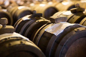 Balsamic Vinegar Factory in Modena