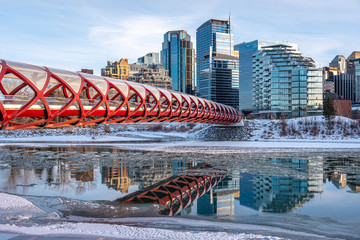 Evening skyline view along the Bow River in Calgary, Alberta.  Peace Bridge visible. 