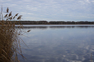 Blick über die Havel bei Potsdam