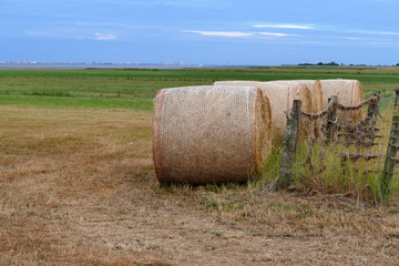 straw bales