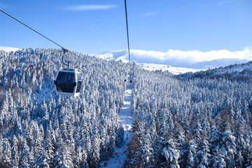 Transportation via cable car among snow covered tree on a sunny winter day in Uludag National Park - obrazy, fototapety, plakaty