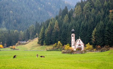 The church of Saint John, Ranui,  Chiesetta di san giovanni in Ranui Runes South Tyrol Italy, surrounded by green meadow, forest and Dolomite mountains