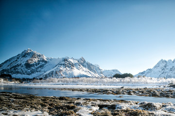 Fototapeta na wymiar Ice trees on the river in Lofoten