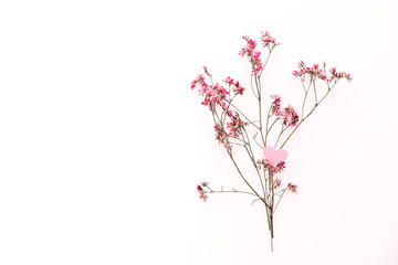 A small pink heart with a place for text decorated with branch of flowers on a white background