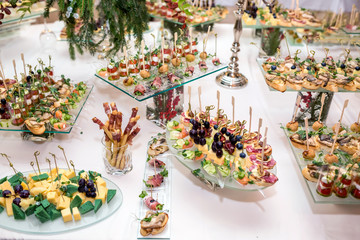 Catering. Off-site food. Buffet table with various canapes, sandwiches, hamburgers and snacks.