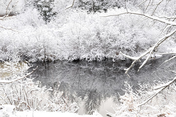 Winter landscape backgrounds