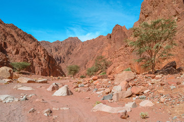 Mountains in the desert