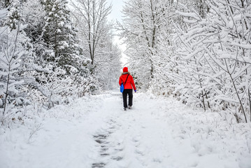 Walking in winter forest