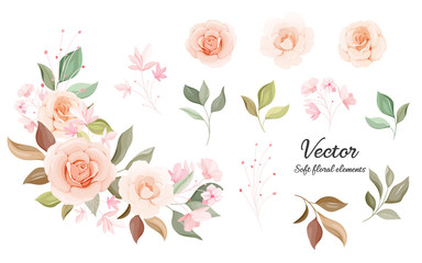 Flowers vector collection. Soft color floral decoration illustration of peach and white rose flowers, leaves, branches. Romantic botanic elements for wedding, greeting, valentine card design - obrazy, fototapety, plakaty