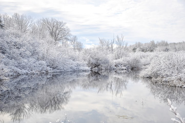 Winter landscape with trees and snow in a lake