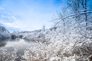 Fototapeta na wymiar Winter landscape with trees and blue sky