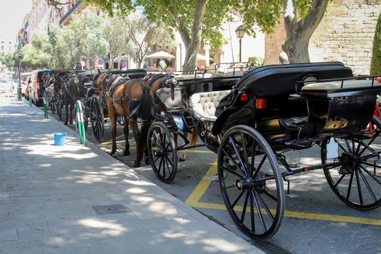 Pferdekutschen mit angespannten Pferden warten auf Kundschaft