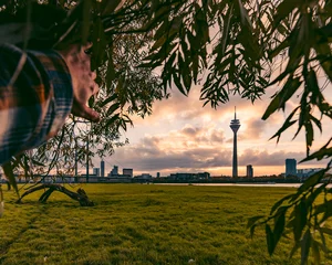 Düsseldorf, Germany skyline during sunrise through bush © Dawud