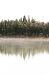 Mirrored reflection of pine trees with fog on the water in Banff, Canada