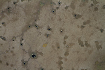 Aerial photograph of dry fishponds with old tree stumps, Crna Mlaka