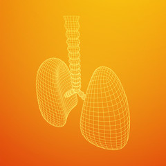 Lungs with trachea bronchi internal organ human. Pulmonology medicine science technology concept. Wireframe low poly mesh vector illustration