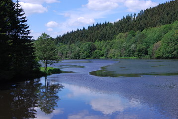 Fototapeta premium Natur See