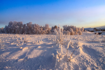 Picture from Roeros World Heritage City and surrounding area