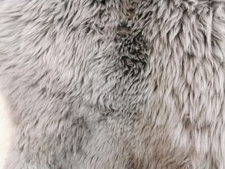 Fur rug, the surface of the sheepskin. Gray fur with a long NAP. A feeling of warmth and softness.