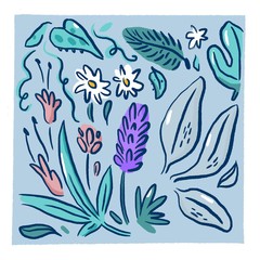 Flower Collection