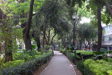 Fototapeta premium La Condesa, Mexico City