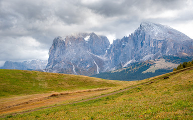 Landscape with Dolomite rocky peaks at the valley of  Alpe di siusi Seiser Alm in Italy.