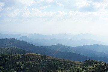 Naklejka premium Beautiful landscape