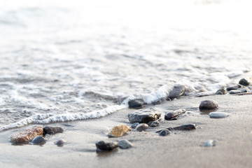 Wet pebbles on seashore in sun light. Sea wave on seacoast with round stones.