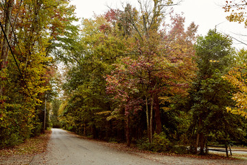 Fototapeta premium Beautiful countryside road in the historic New England town of Dorset on a cold, Fall day. 